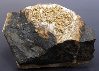 Ganophyllite- Molinello Mine, Val Graveglia - Italy