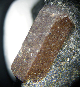 Lorenzenite - Flora Mt, Lovozero Massif, Russia