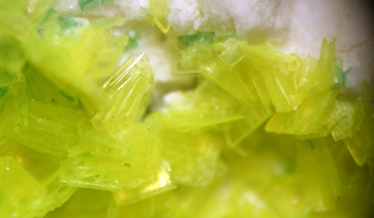 Uranocircite and Torbernite- Assun��o Mine, Aldeia Nova - Portugal