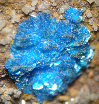 Sampleite - La Farola Mine, Cerro Pintado - Chile