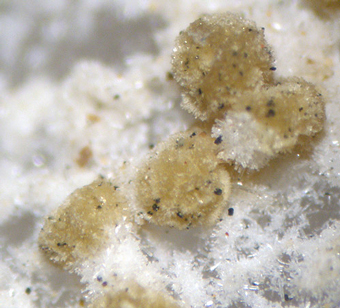 Ruifrancoite - Sapucaia Mine - Brazil