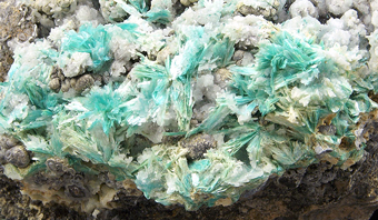 Aurichalcite on hemimorphite -79 mine, Chilito, Arizona, USA