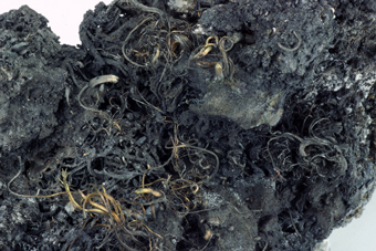 Silver on Acanthite - Imiter mine, Djebel Saghro, Souss-Massa-Dra Region, Morocco