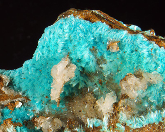 Aurichalcite on limonite - Campiglia Marittima, Italy