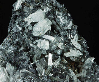 Anglesite on Galena - Monteponi Mine. Monteponi - Sardinia, Italy