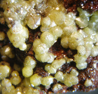 Mimetite var. Campylite and Cerussite, Mapimi, Durango, Mexico