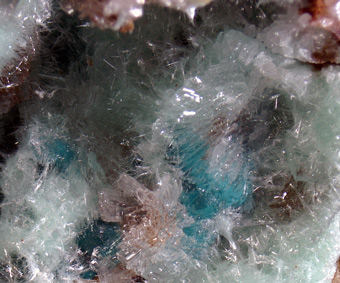 5013_ROSA_DANI - Rosasite - Paglio Pignolino mine, Dossena, Lombardy, Italy