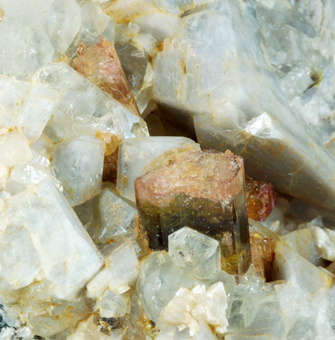 Tourmaline var Elbaite, San Piero in Campo, Isle of Elba, Tuscany, Italy