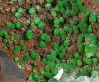 Cuprian Austinite, Conicalcite, Ojuela Mine, Mapim, Durango, Mexico
