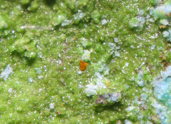Tangeite, La Cumbre mine, Atacama Region, Chile