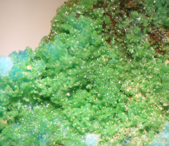 Tangeite, La Cumbre mine, Atacama Region, Chile