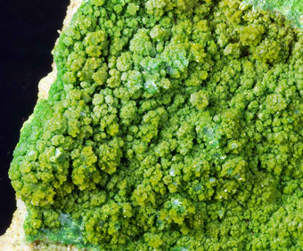 Pyromorphite, Gute Hoffnung Mine, Klf, Alfeld, Lower Saxony, Germany