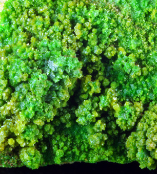 Pyromorphite, Gute Hoffnung Mine, Klf, Alfeld, Lower Saxony, Germany