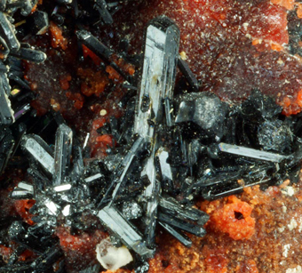 Gaudefroyite, Baryte, Andradite, Wessels mine, Hotazel, South Africa