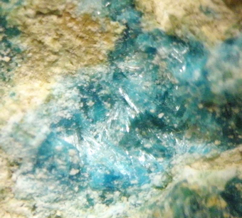 Guanacoite  (TL) and Conichalcite, El Guanaco mine, Guanaco, Chile
