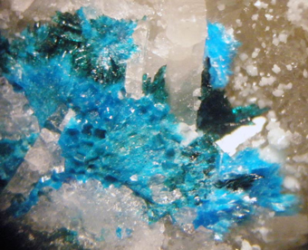 Lemanskiite (TL), Lammerite, El Guanaco mine, Guanaco, Antofagasta Region, Chile