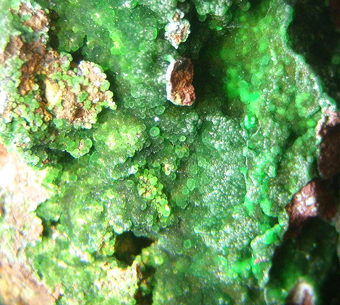 Conichalcite, Gold Hill District, Utah, USA