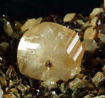 Titanite and Garnet, Rocca Sella, Susa valley, Piedmont, Italy
