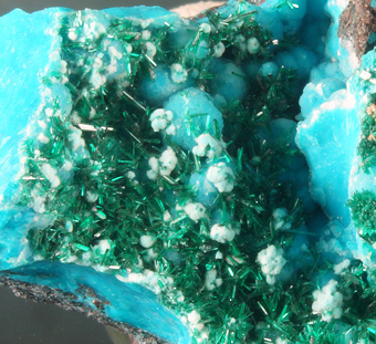 Brochantite, Chrysocolla, Los Azules mine, Atacama Region, Chile