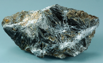 Ludwigite - Brosso Mine, Brosso - Italy