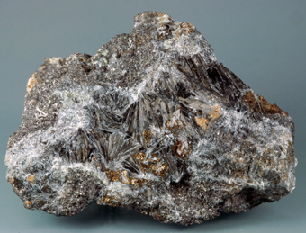 Ludwigite - Brosso Mine, Brosso - Italy