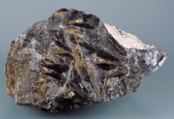 Ludwigite - Brosso Mine, Brosso - Italy