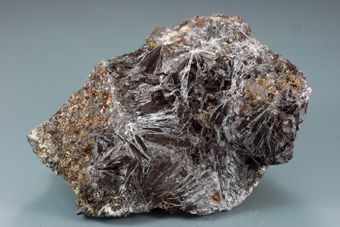 Ludwigite - Brosso Mine, Brosso - Italy