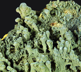 Mottramite - Ojuela mine, Mapim, Durango, Mexico.