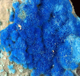 Cyanotrichite, Dachang ore field, Guizhou Province, China