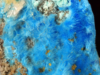 Cyanotrichite, Dachang ore field, Guizhou Province, China