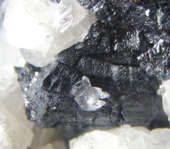 Chalcocite - Chaarcillo, Atacama Region, Chile