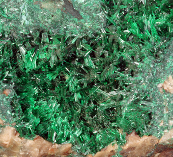 Brochantite - Musunoi mine, Musunoi, Katanga, Dem. Rep. of Congo
