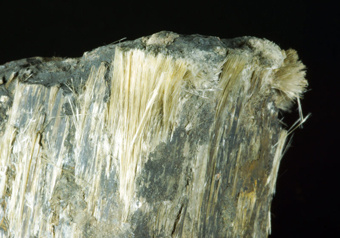 Amosite (TL) and Greunerite, Penge mine, Limpopo Province, South Africa