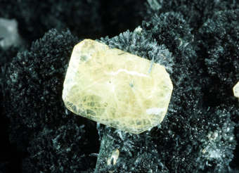 Omphacite, Titanite, Glaucophane, Epidote - Bric Vert, Quincinetto, Piedmont, Italy