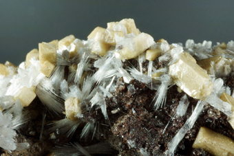 Bultfonteinite and Poldevaartite - N'Chwaning II Mine, Kuruman, KMF -  South Africa