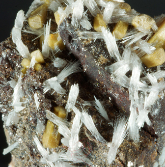 Bultfonteinite and Poldevaartite - N'Chwaning II Mine, Kuruman, KMF -  South Africa