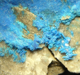 Juangodoyite (TL), Santa Rosa mine, Tarapac Region, Chile