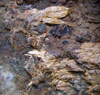 Ludlockite, Veta Negra mine, Tierra Amarilla - Chile