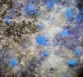 Chanabayite (TL) - Pabellon de Pica, Chanabaya, Tarapac Region, Chile