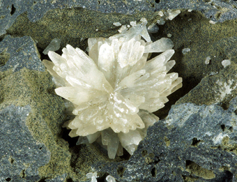 Calcite in basalt - Noragugume, Sardinia, Italy