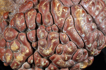 Aragonite var. Sprudelstein - Karlovy Vary Region, Bohemia, Czech Republic