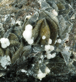 Siderite with Calcite - Bohutin mine, Přbram, Bohemia, Czech Republic
