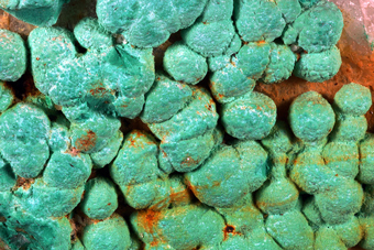 Malachite on Fluorite and Quartz - Clara mine, Rankach valley, Baden-Wrttemberg, Germany