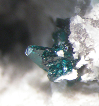 Lammerite and Lavendulan - El Guanaco mine, Taltal, Antofagasta Region, Chile