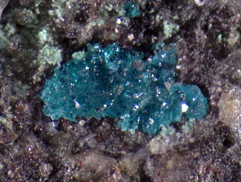 Haydeeite (TL) - Haydee mine, Salar Grande, Tarapac , Chile