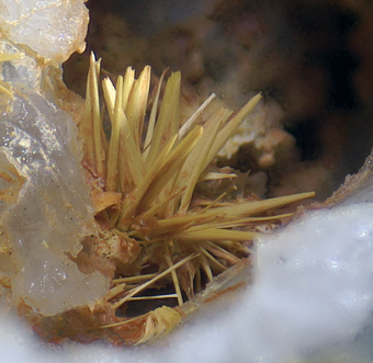 Ferrimolybdite - Malta mine, Huatacondo,Tarapac Region, Chile