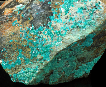 8529_SPAN_DANI - Spangolite - Resguardo III mine, Carreras Pinto, Atacama, Chile