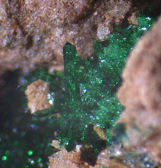 Atacamite - Santo Domingo mine, Caleta Vtor district, Arica and Parinacota, Chile