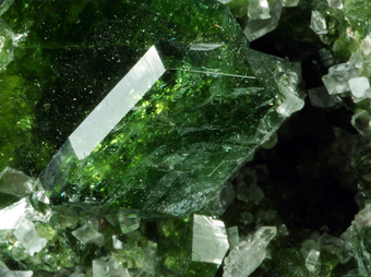 Uvite - Serra das guas, Brumado, Bahia, Brazil