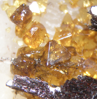 Microlite, Manganocolumbite, Mica - Ip mine, Governador Valadares, Minas Gerais, Brazil